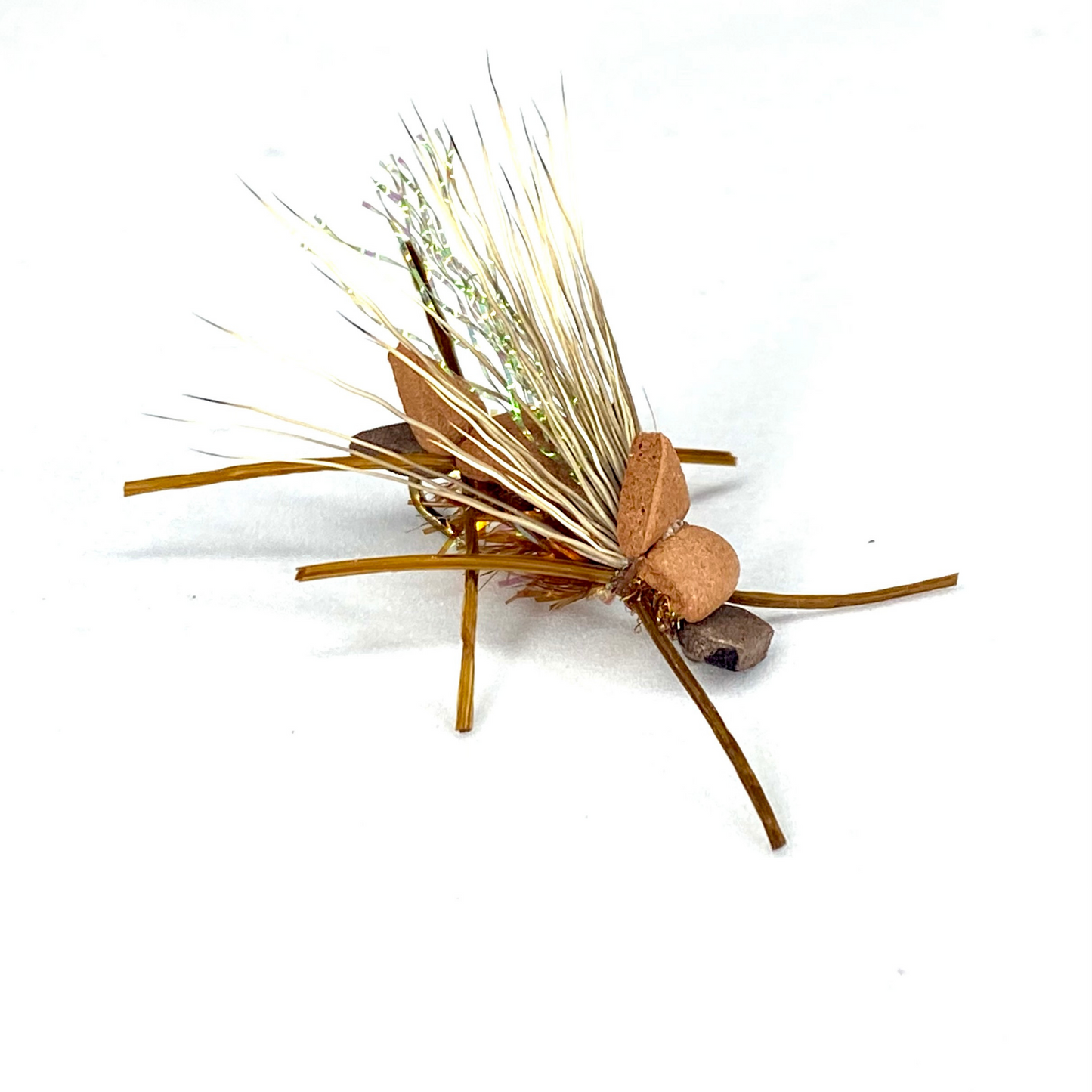 Amy's Ant