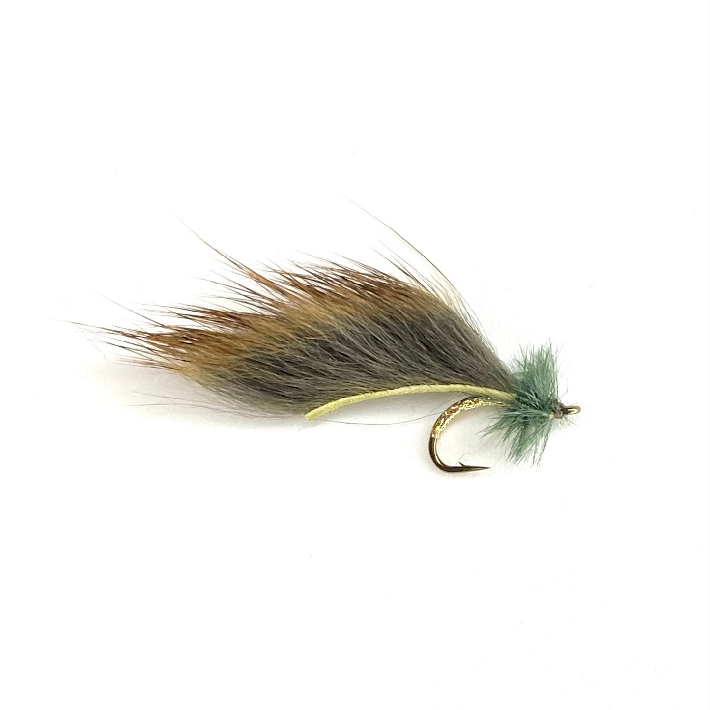 Mayer's Mini Leech