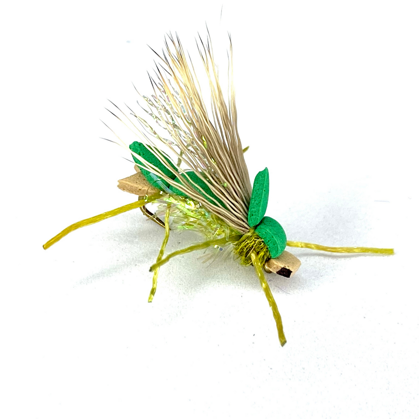 Amy's Ant