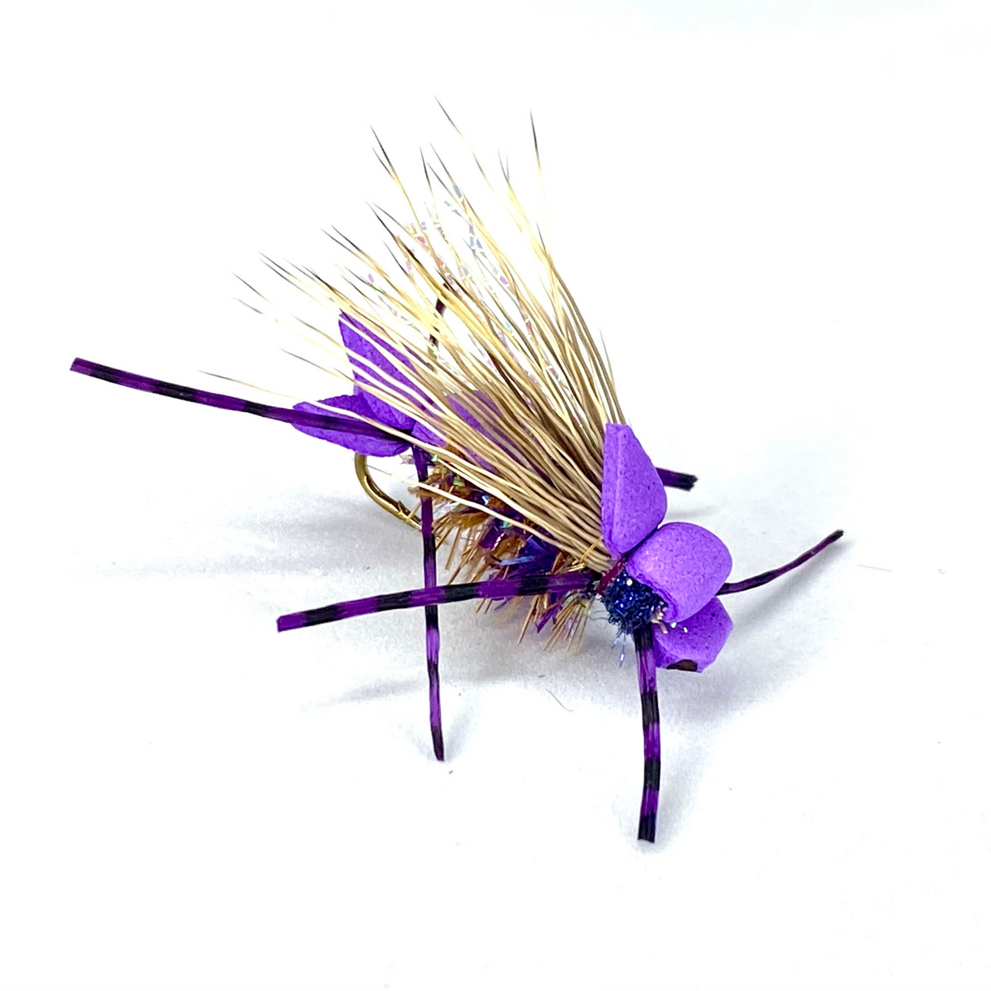 Amy's Ant