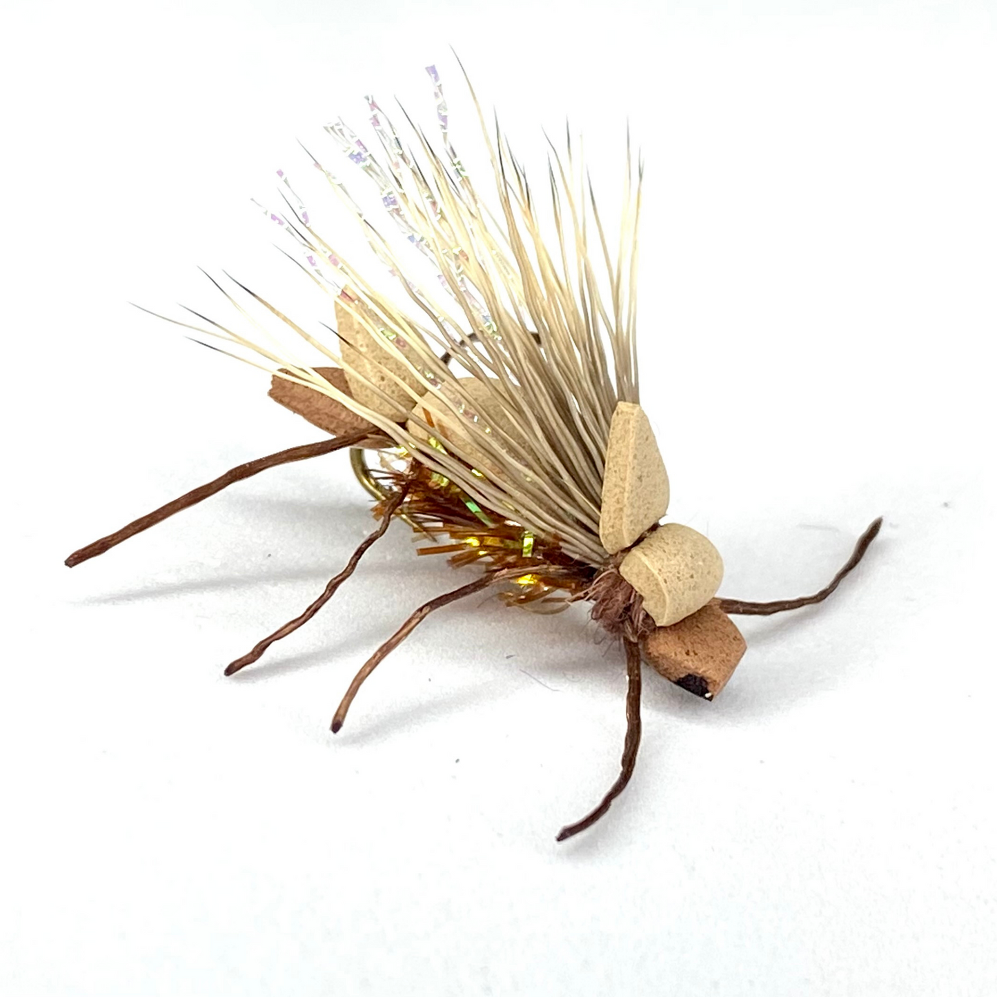 Amy's Ant