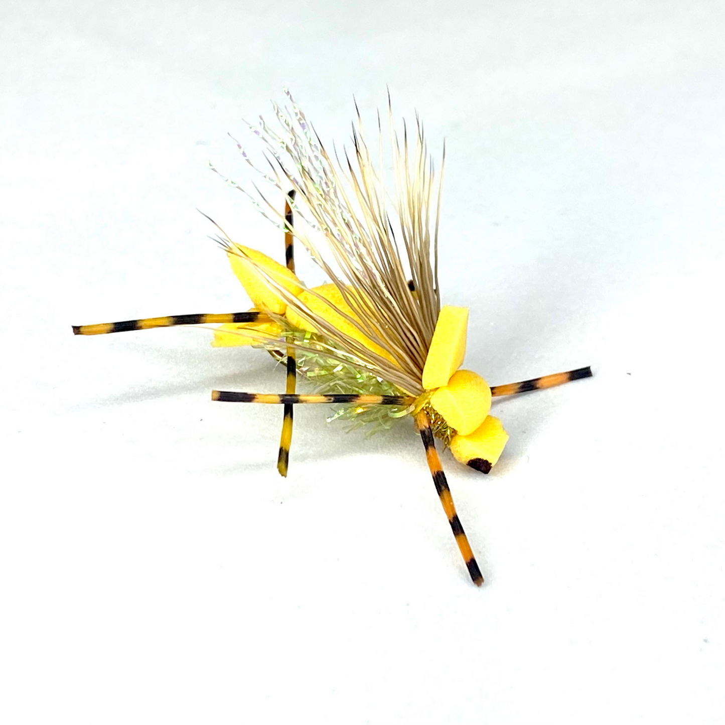 Amy's Ant