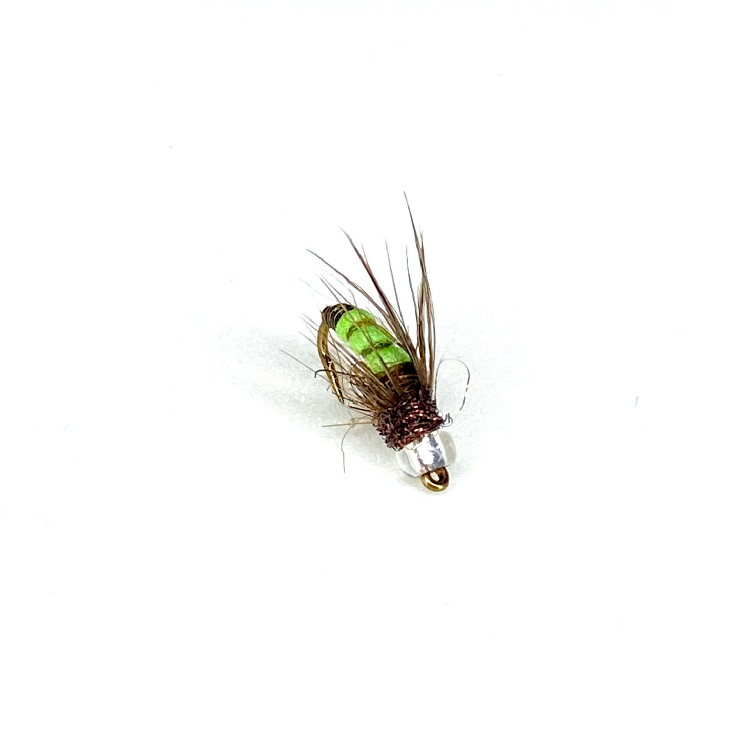 Baddis Caddis