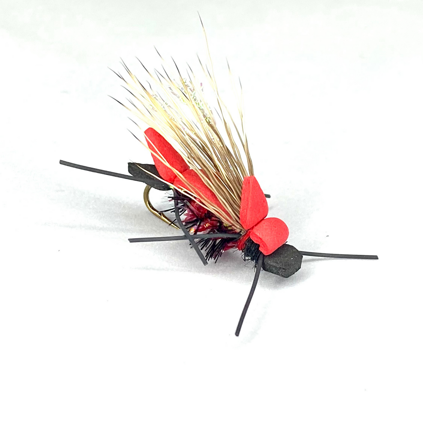 Amy's Ant