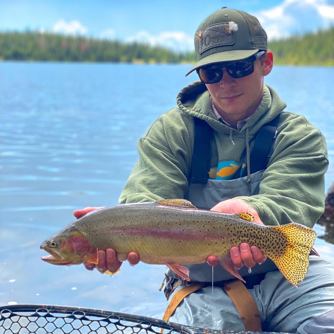 Exploration, Gratification, and Trout