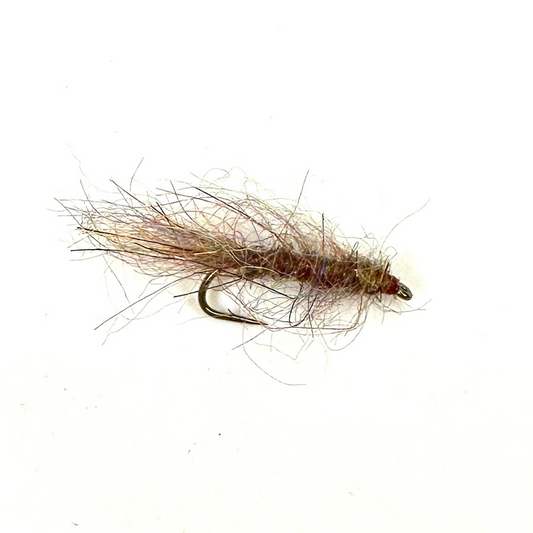 Simi Seal Leech, Tungsten BH