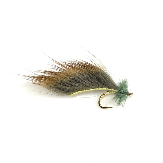 Mayer's Mini Leech