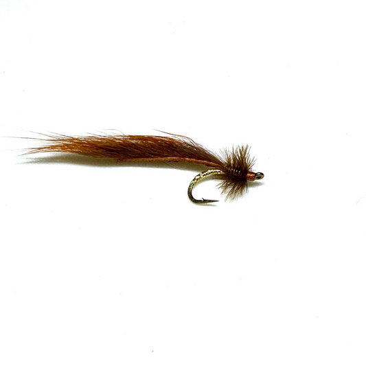 Mayer's Mini Leech