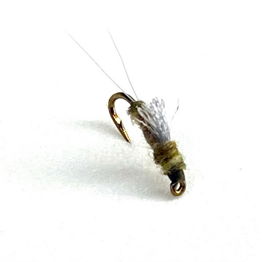 RS-II