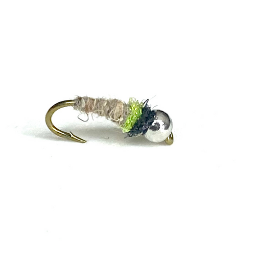 Cased Caddis